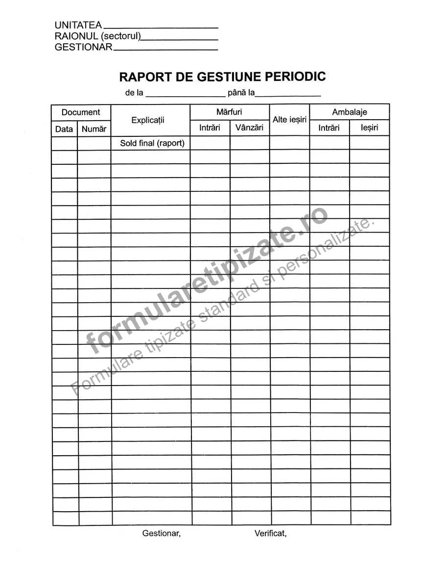 Raport de gestiune