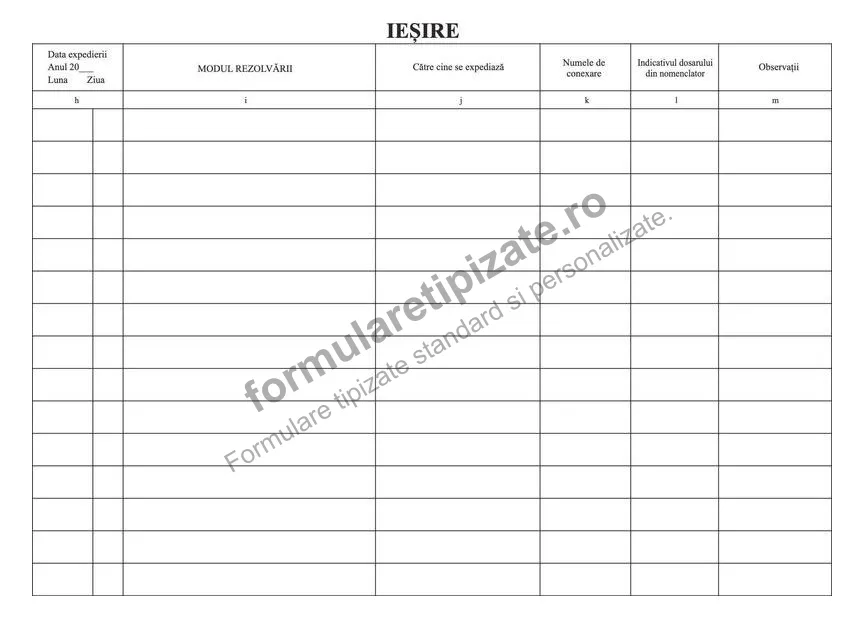 Registru de intrări-ieșiri - verso